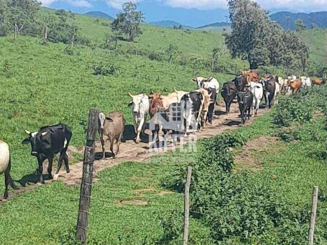 Fazenda com 3 dormitórios à venda, 2032800 m² por R$ 6.500.000,00 - Papucaia - Cachoeiras de Macacu/RJ