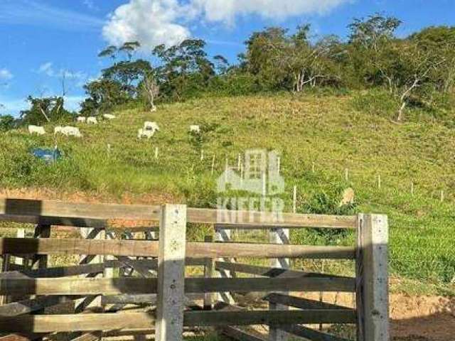 Fazenda com 2 quartos à venda, 543000 m² por R$ 2.200.000 - Zona Rural - São Fidélis/RJ