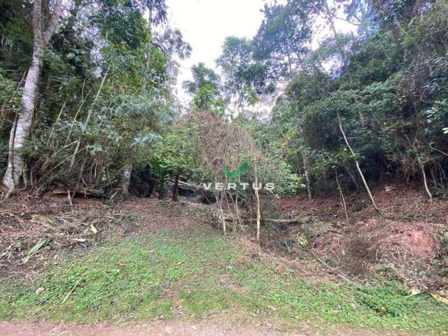 Terreno à venda, 3000 m² por R$ 190.000,00 - Parque do Imbui - Teresópolis/RJ