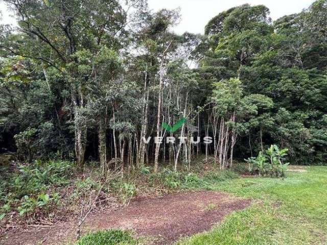 Terreno à venda, 4900 m² por R$ 950.000,00 - Comary - Teresópolis/RJ