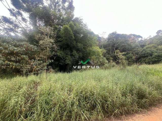 Fazenda à venda, 30 hectares por R$ 1.200.000 - Vista Alegre - Teresópolis/RJ