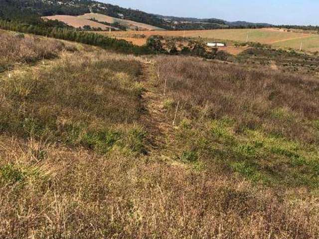 Lote/Terreno para venda tem 500 metros quadrados em Cachoeira - Cotia - SP