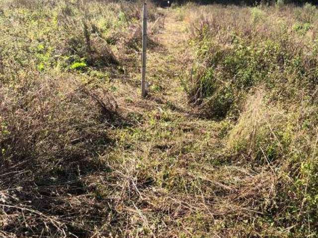 Lote/Terreno para venda com 500 metros quadrados em Cachoeira - Cotia - SP