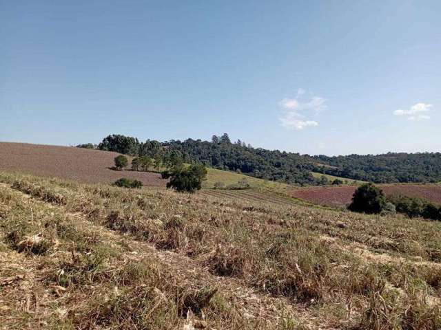 Lote/Terreno para venda possui 1300 metros quadrados em Jardim Colonial - Atibaia - SP