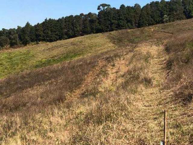 Terrenos Em Cotia Parcelamos Com Entrada De 15.000 Saldos Em 48X. DF-::aR10kM