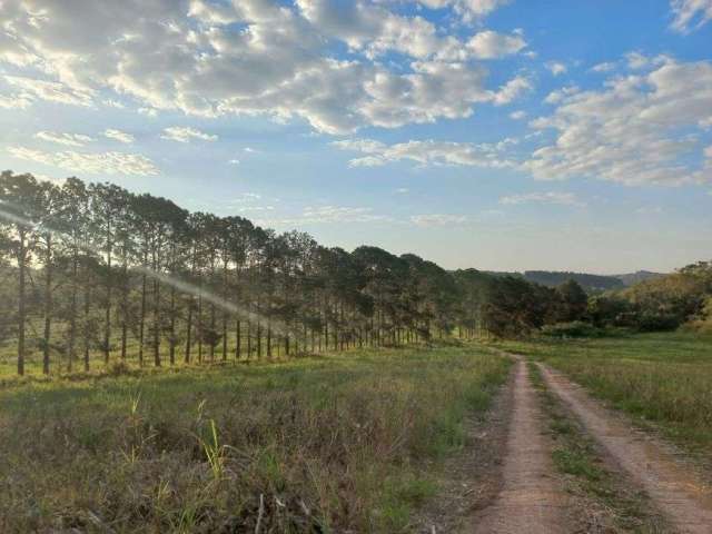 Encontre Aqui Seu Lindo Terreno Em Atibaia Com Entrada D. 1M::aZ11qV