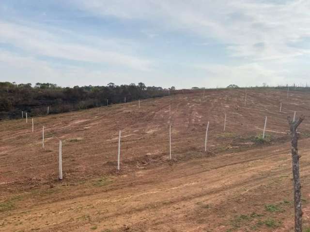 Terreno em cotia, traga sua família!