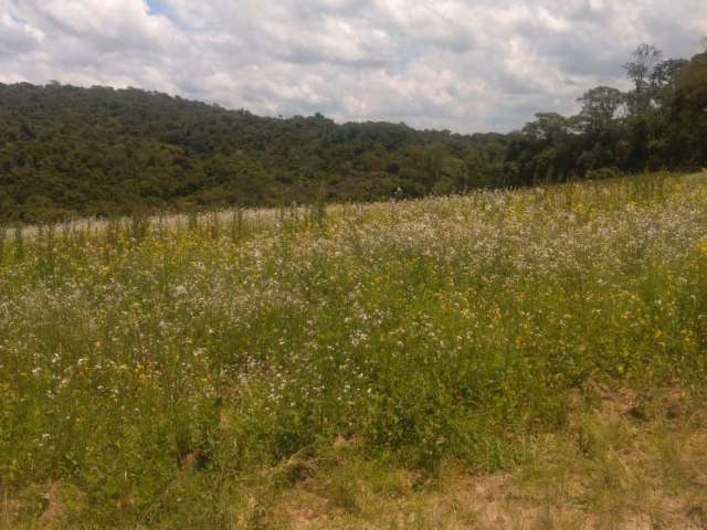 Terrenos a vista em cotia