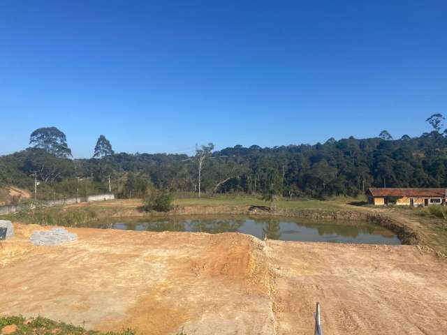 Espaço para Criar: Terreno à Venda!