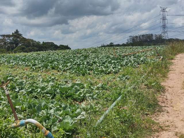 terreno em bairro promissor lnvista com segurança