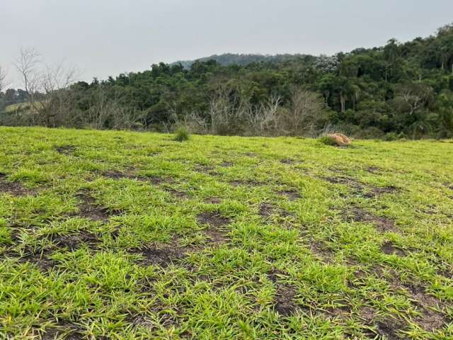 Terrenos em Santa isabel!