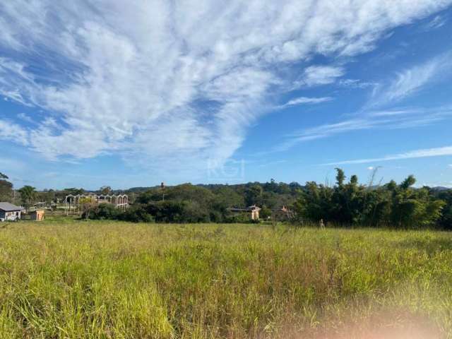 Terreno alto, muito bem localizado na  avenida Lami,  com escritura. Quase 1 Hectare.