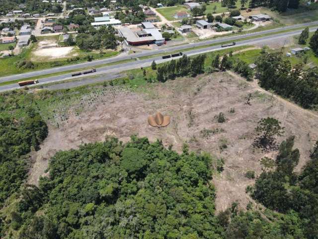 Terreno de frente a  br 376 ponta grossa - pinheirinhos