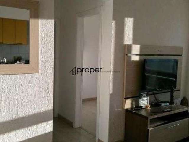 Apartamento com 2 dormitórios à venda, 58 m² por R$ 260.000,00 - Areal - Pelotas