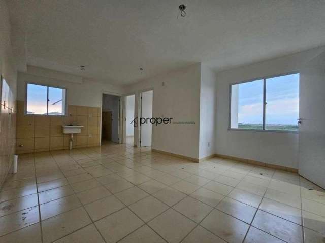 Apartamento à venda 45,11m² Areal - Pelotas/RS