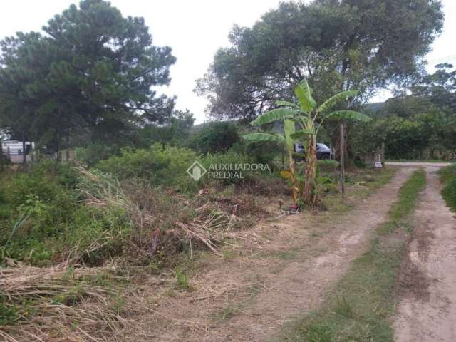 Terreno comercial à venda na Rua Aderbal Ramos da Silva, 001, Pinheira, Palhoça, 500 m2 por R$ 550.000