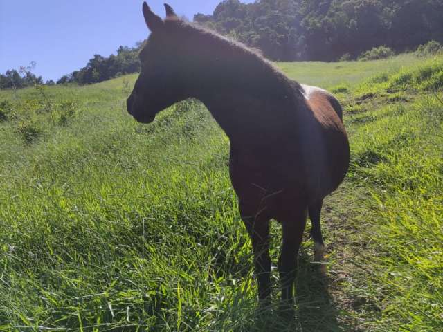 Chácara Alto Bom Retiro,