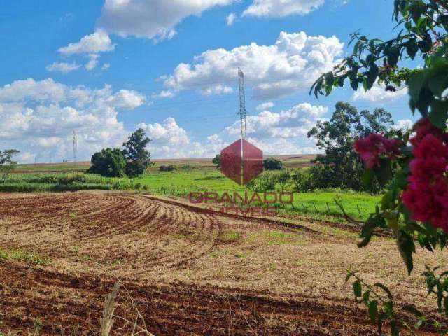 Sítio à venda com 20 alqueires paulista! - Parque Industrial 200 - Maringá/PR