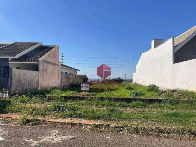 Terreno à venda, 328 m² por R$ 270.000,00 - Jardim São Miguel - Maringá/PR