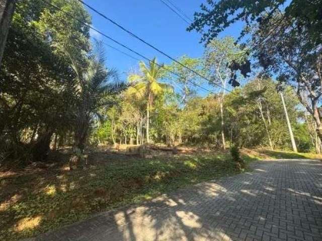 Terreno à venda, 450 m² por R$ 340.000,00 - Praia do Forte - Mata de São João/BA