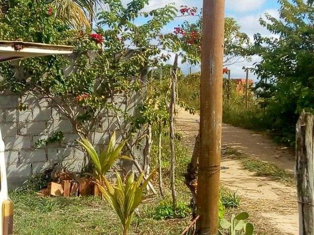 Terreno à venda, 1300 m² por R$ 250.000,00 - Barra do Jacuípe - Camaçari/BA