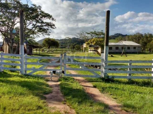 Excelente sítio a venda no Petim em Guaiba , com área de 10hc, localizado a 9km do centro. Conta com 2 predios de aproximadamente 600m2, salão de eventos, cozinha industrial, alojamentos,, piscina e c