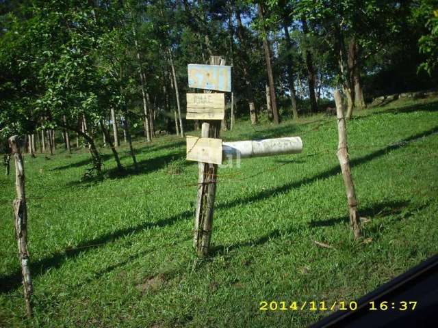 Area com 4.2 hectares, na lomba do Pinheiro  com vista para o Guaíba,, investimento certo, Agende já a sua visita!