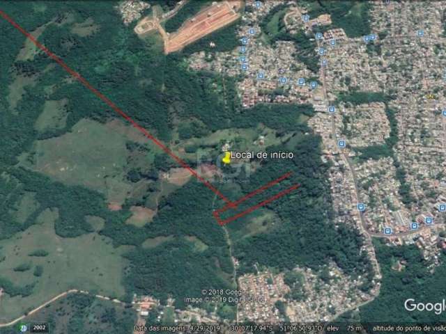 Na Lomba do Pinheiro, um amplo terreno: são 27mil metros quadrados em região arborizada e de plena expansão. Com plenas condições de habitabilidade, o imóvel possui avaliação emitida com laudo de vist