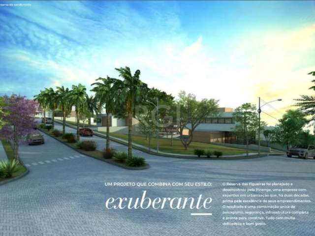 Na Quadra G Lote 15 com 300,00m².&lt;BR&gt;Terrenos de 250 a 689m² no Condomínio Reserva das Figueiras Residencial Clube em Guaiba, sendo a área do condomínio totalizando 145.500m², com área de vegeta