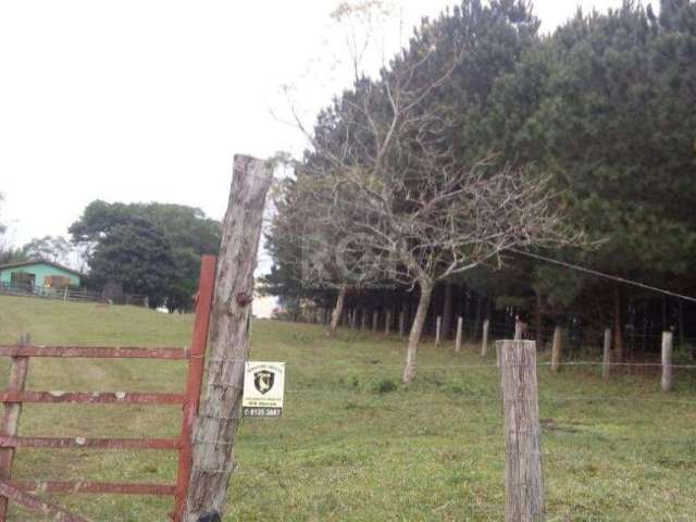 Ótima área para uso misto industrial/comercial , com 2,4 hectares (24.000,00m²) está localizado na Rodovia RS 118, Km 11 em Cachoeirinha RS, 131,00m de frente pra RS118 e 200m fundos,  podendo ser con