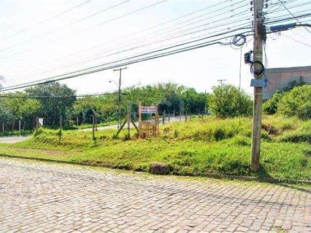 Terreno de esquina 10 metros de frente e 30,85 metros de fundos&lt;BR&gt;&lt;BR&gt;1 Quadra da avenida Manoel Elias.&lt;BR&gt;3 Quadras da Baltazar de Oliveira Garcia.