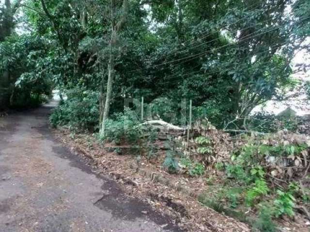 Terreno no bairro Camaquã com muita área verde, medindo o primeiro lote: de frente 11m x 40m de extensão, lindeiro com o segundo lote, o qual, tem sua frente em 32m x 87m de extensão, perfazendo uma á