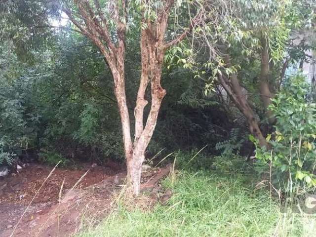 Terreno a venda em Canoas, bairro Nossa Senhora das Graças, região não alagada. Medindo 10x30 (300m²). Proprietário analisa carro no negócio até 50mil.