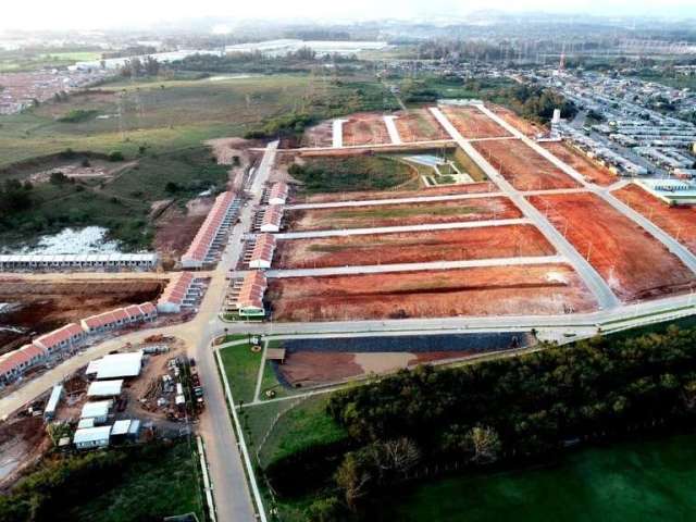 Predial vende terrenos no Jardim Unique  em Cachoerinha com 172,02m2 privativos plano, &lt;BR&gt;terrenos medindo  12,66 de frente,  12,66 fundos, 13,59  a esquerda e 13,59  a direita, consulte nossos