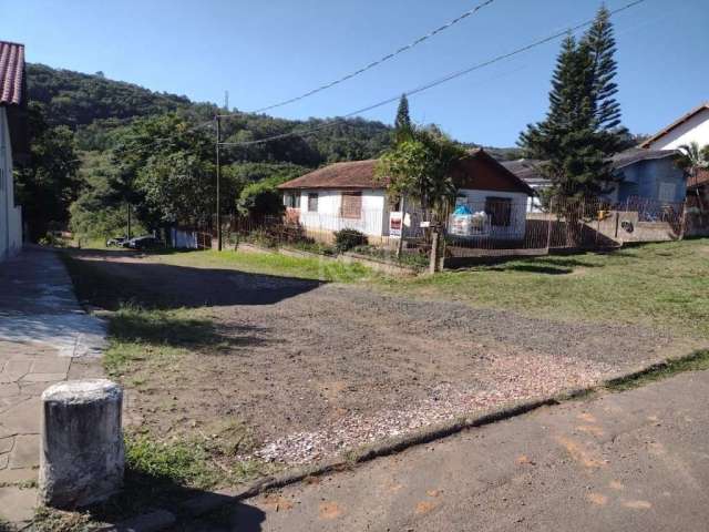 Belíssima área com mais de 4,0 ha - 40.000m² no bairro Vila nova na Estrada Aracajú com acesso todo asfaltado até a entrada. Sítio com mais de 30.000m² de mata nativa e um belo riacho cruzando as terr