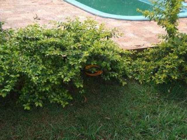 linda chacara de 1000 metros com pes de frutas, piscina e casa confortavel