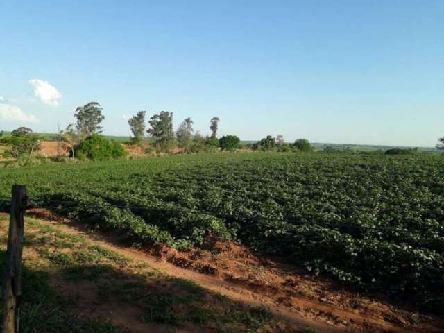 Fazenda Rural à venda, Centro, Clementina - FA0072.