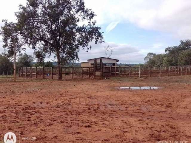 Fazenda Rural à venda, Centro, Dois Irmãos do Buriti - FA0059.