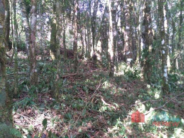 Terreno à venda Monte Verde em Camanducaia