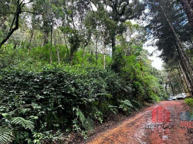 Terreno à venda Monte Verde em Camanducaia