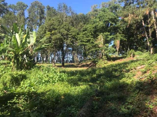 Terreno, Praia do Cedro, Ubatuba - R$ 1.3 mi, Cod: 3956