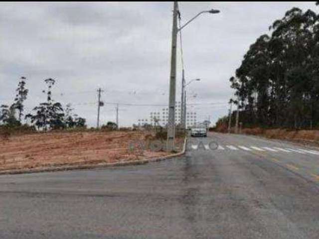 Terreno 550 m² à venda - Areias de Baixo - Governador Celso Ramos/SC