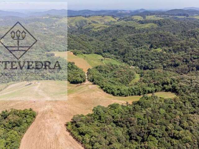 Área para Venda em Campo Magro, ROSEIRA DE SANTA RITA