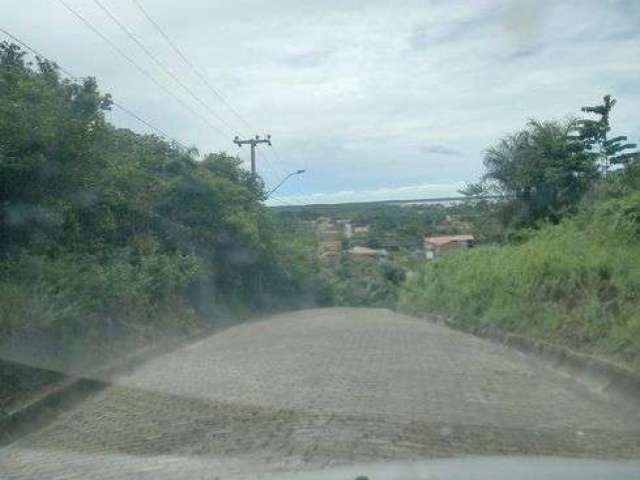 PANAQUATIRA: Área de 5 hectares a venda a cerca de 800m da beira da praia – Ilha de São Luís-Ma