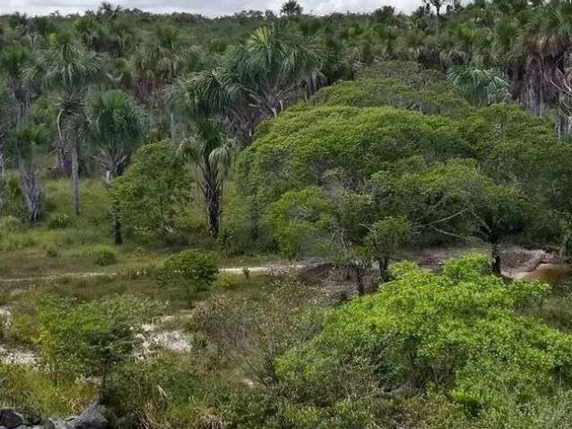 Lote/Terreno para venda tem 1010000 metros quadrados em Centro - Santo Amaro do Maranhão - MA