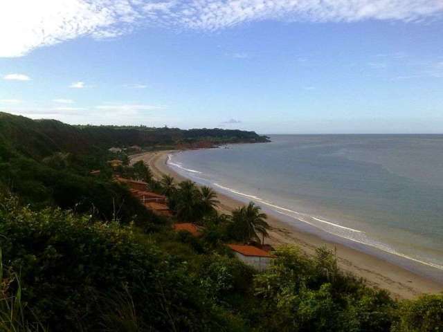 ITAPARY: Área de 50 hectares a venda vista mar na Ilha de São Luis-MA