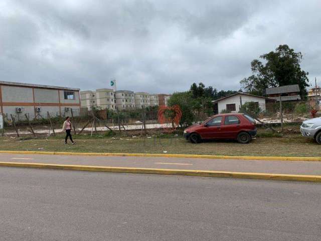 Terreno para alugar, 1402 m² por R$ 5.700,00/mês - Santa Cruz - Gravataí/RS