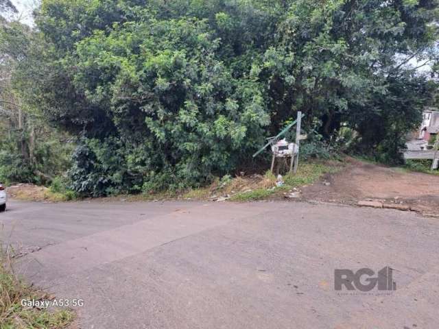 Terreno de esquina com 6801 m2  de frente  em avenida de grande circulação RS 040 Viamâo - RS  em frente ao novo parque Saint  Hilaire.&lt;BR&gt;Ideal para constrruir predio comercial  ou sede de empr