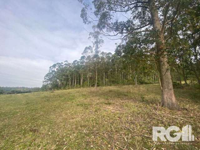 Chácara á venda em Viamão/RS. Imóvel constituído de 14 Hectares, conta com açude, árvores nativas e muito arborizado. O local é tranquilo e aconchegante com muita calmaria e bastante natureza. Agende 