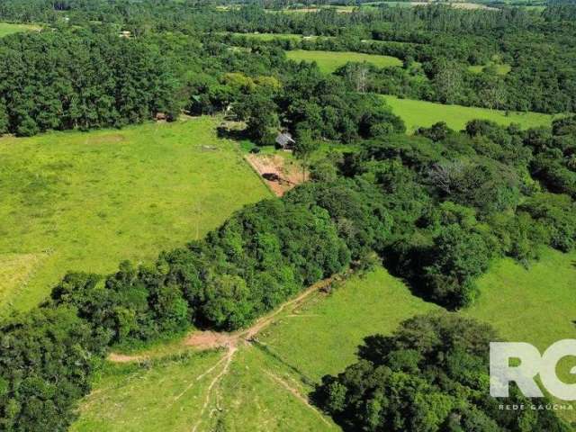 Sítio à venda em Viamão/RS | Lindo sítio com 15,4 hectares, com casa principal de 3 dormitórios, 2 banheiros, 1 depósito, 1 fogão e forno a lenha e 1 adega subterrânea, casa com portas de madeira maci